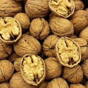 🌰 Kuru Ceviz (Kabuklu - Tam)